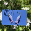 poisson en perle